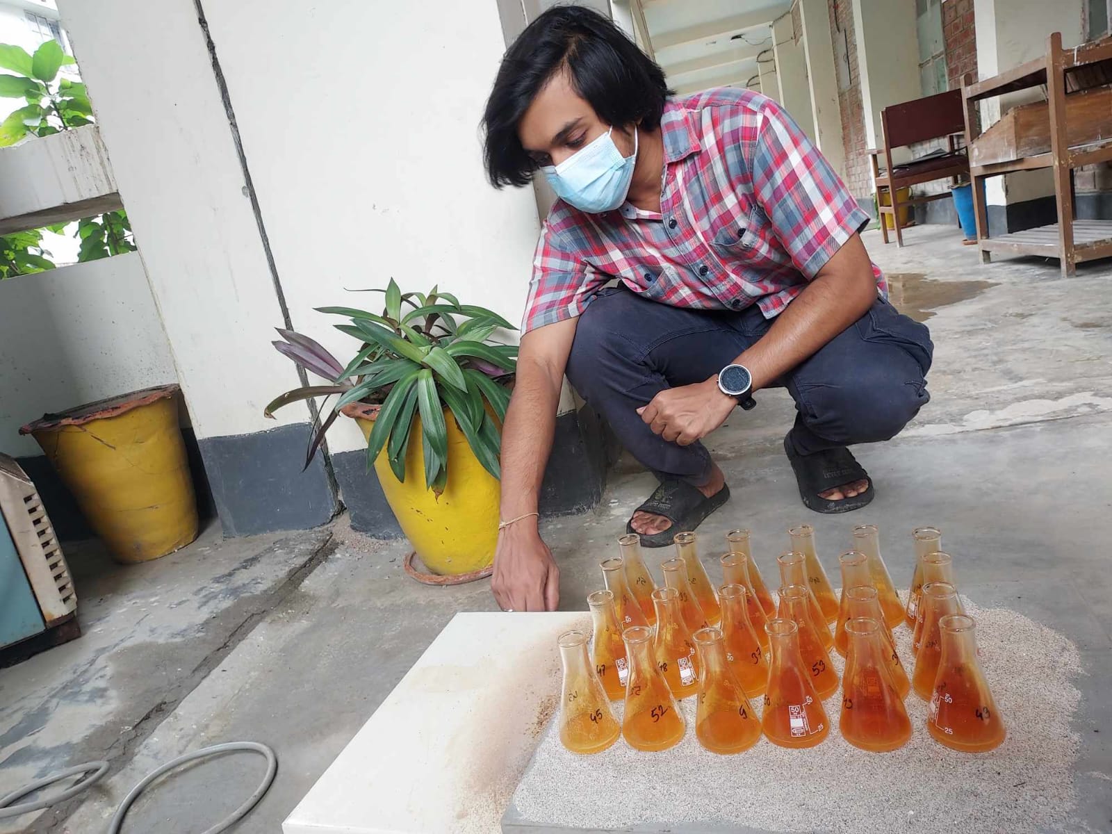 Plant samples · Tissue analysis